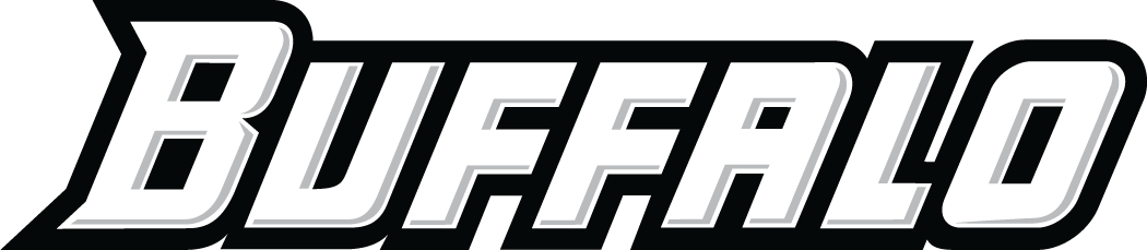 Buffalo Bulls 2007-Pres Wordmark Logo v2 iron on transfers for T-shirts